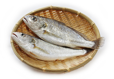 イシモチ