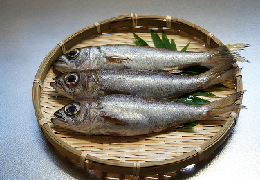 クロムツ