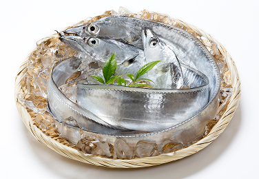 太刀魚